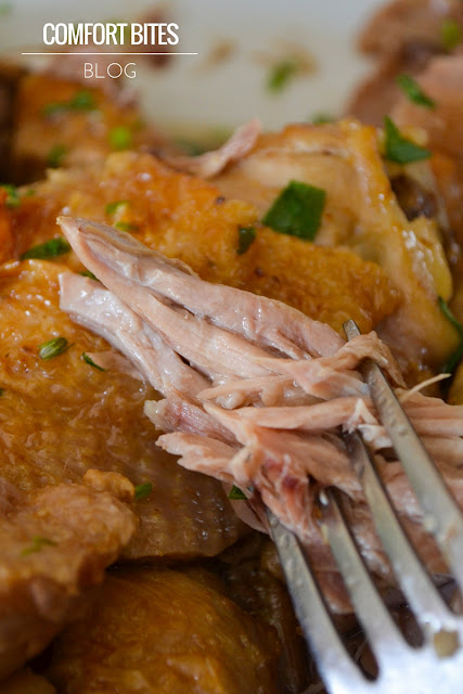 AIP autoimmune protocol slow cooker garlic tarragon chicken AIP autoimmune protocol slow cooker garlic tarragon chicken