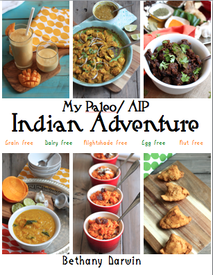 AIP Indian Adventure