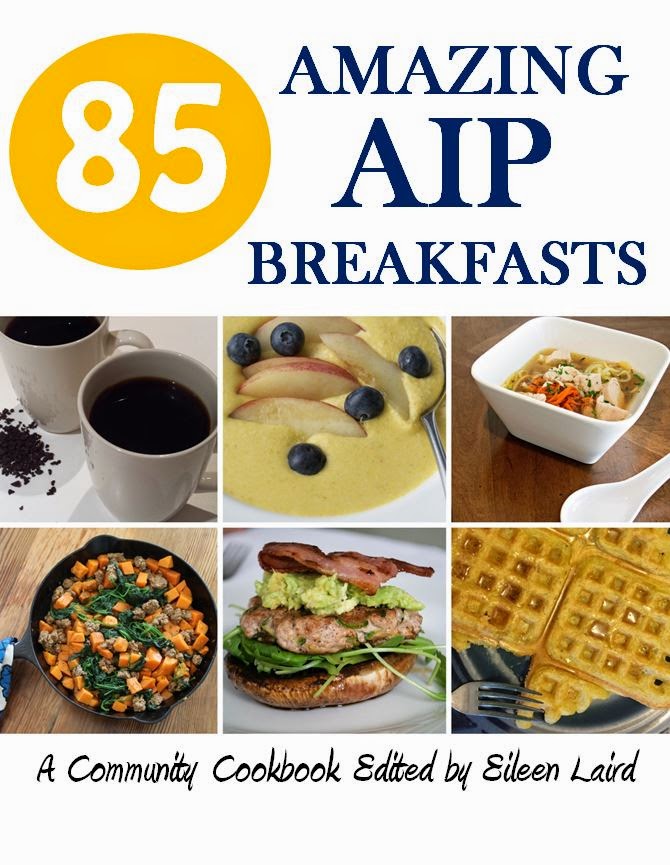 AIP BREAKFAST COOKBOOK