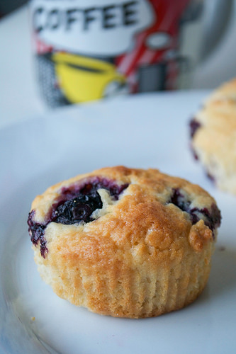 blueberry and quark muffins