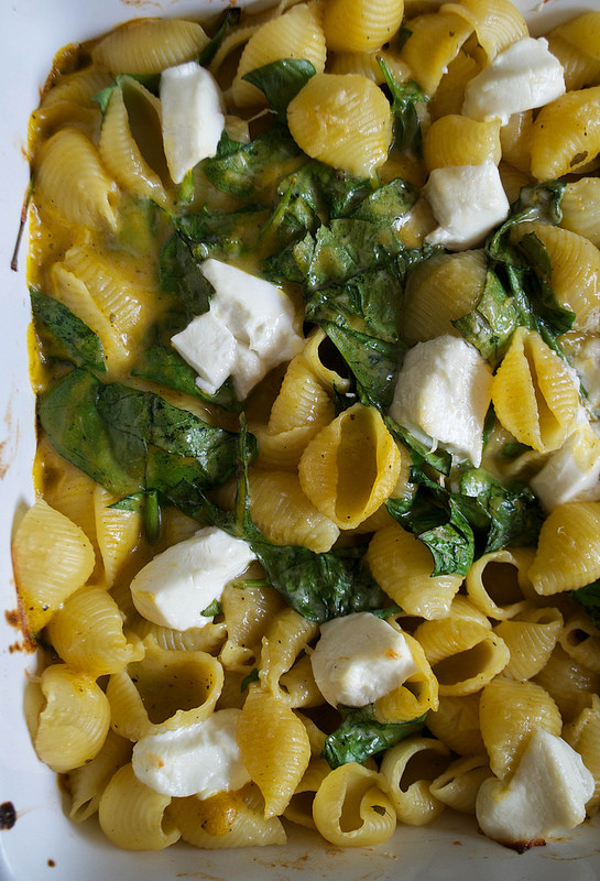 glorious pumpkin sauce with goats cheese spianch and pasta