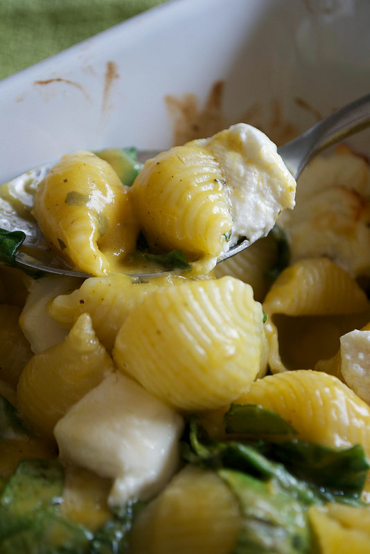 glorious pumpkin sauce with goats cheese spinach and pasta_