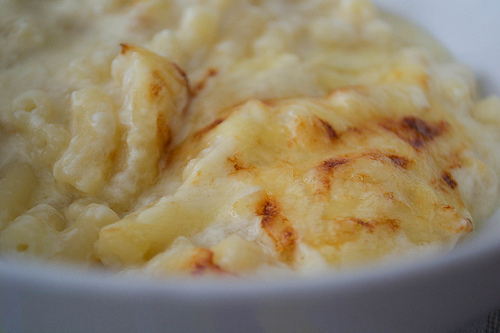 macaroni cheese with emmental
