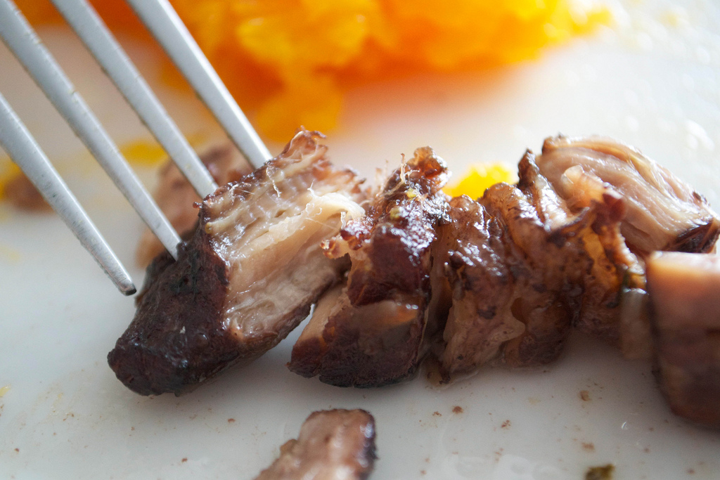 pork belly and red wine stew with fork