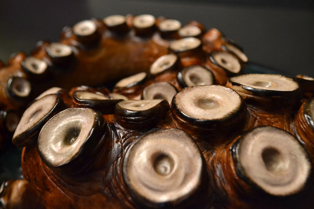 TENTACLE CAKE - CONJURER'S KITCHEN