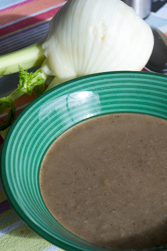 mushroom and fennel soup