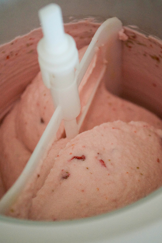 aip paleo vegan strawberry and vanilla ice cream
