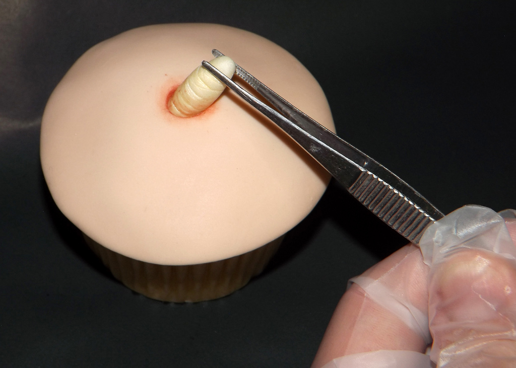 Maggot Extraction Cupcakes - Twisted Fondant - Feed the Beast 2013