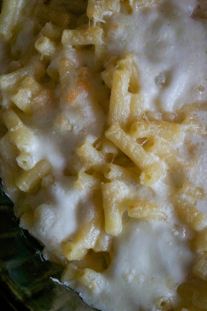 quick macaroni cheese