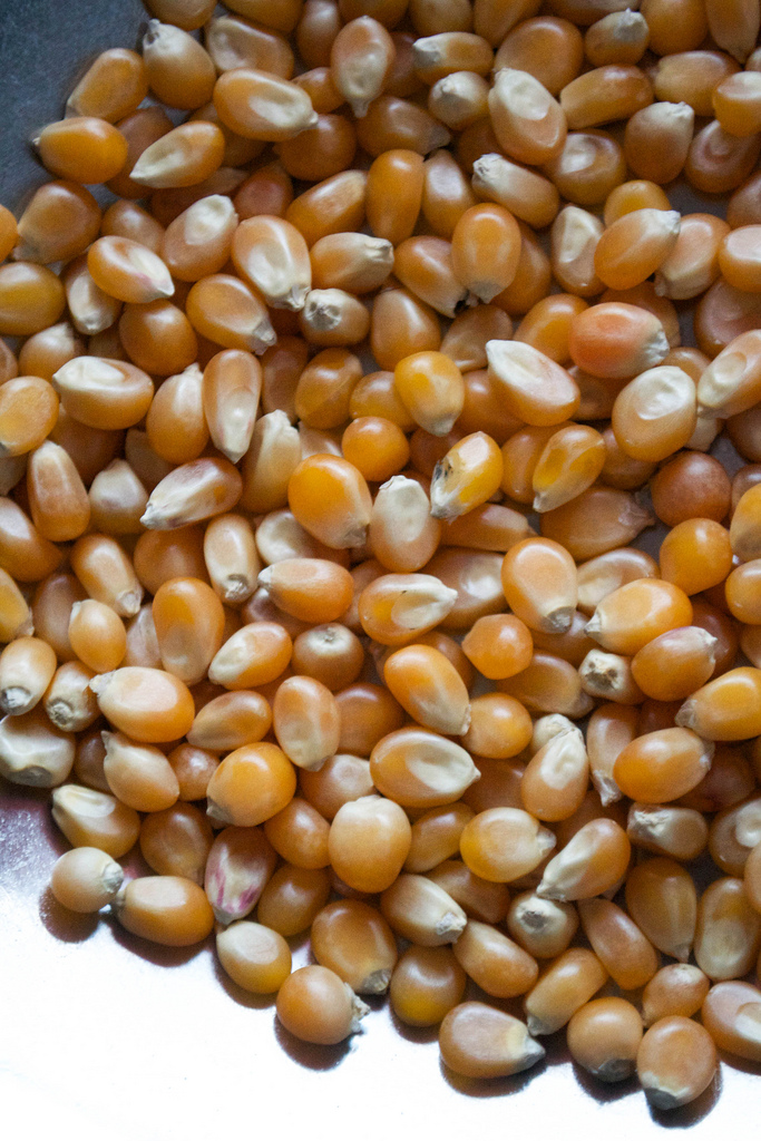 popcorn kernels