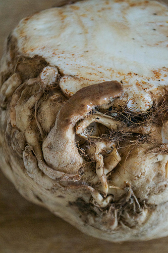 celeriac