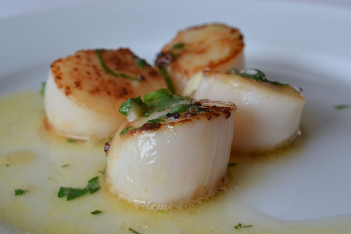 Pan Fried Scallops with Butter and Lemon