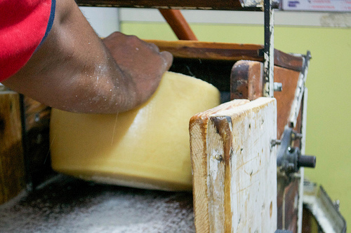 santa pasta shop - cheese