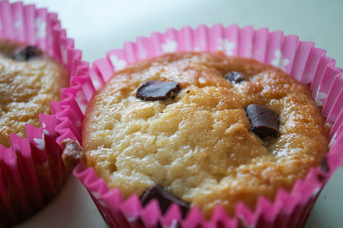 lemon and plain chocolate muffins